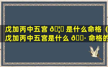 戊加丙中五宫 🦊 是什么命格（戊加丙中五宫是什么 🌷 命格的）